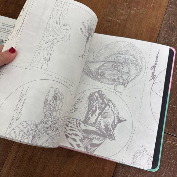 Transfer Pattern Club Shirt Design Binder Patterns/instructions COMPLETE UNUSED‎ - Picture 15 of 16